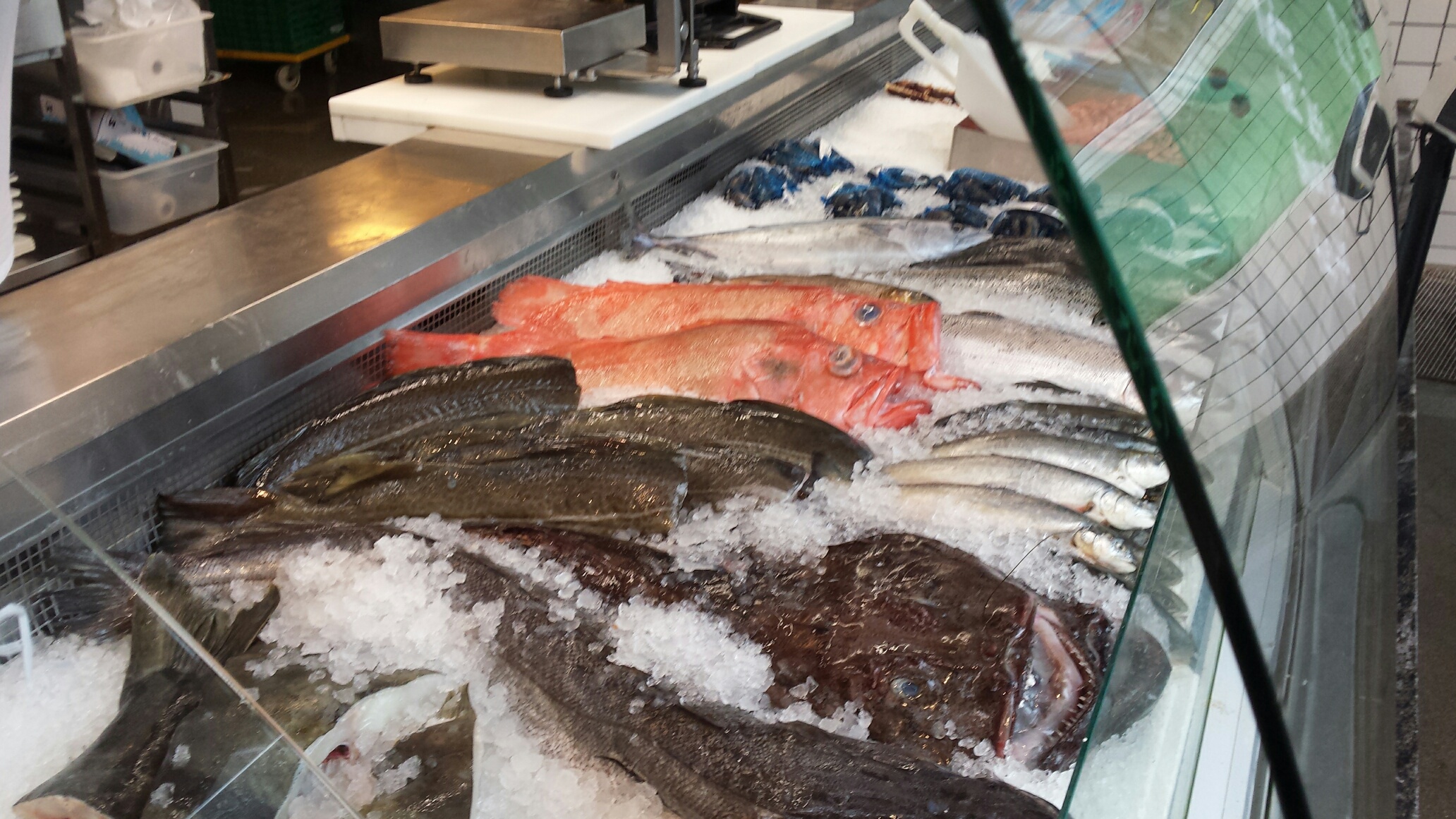 Fish counter Norway